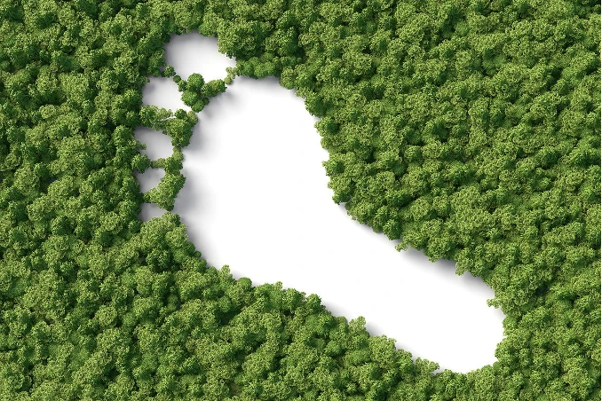 Carbon Footprint
